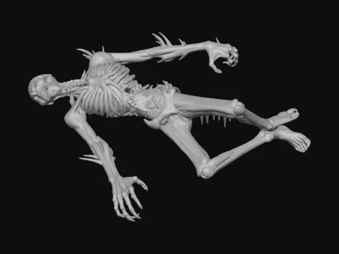 3D model for Desolate Remains