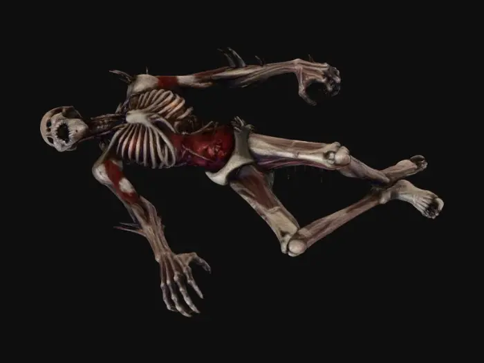 3D model for Desolate Remains