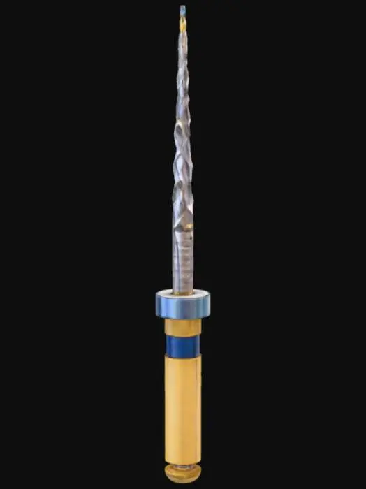 3D model for Endodontic File