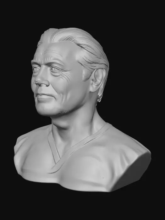 3D model for Wisdom in Wrinkles