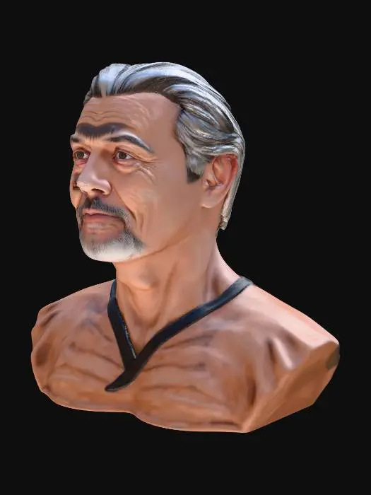 3D model for Wisdom in Wrinkles