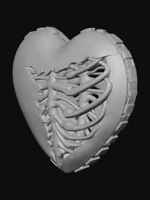 3D model for Heart Exposed