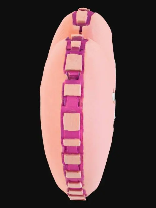 3D model for Heart Exposed