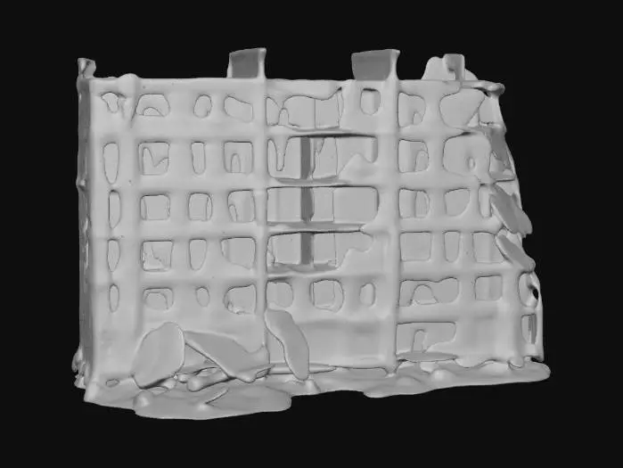 3D model for Collapse Aftermath