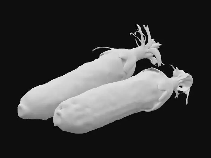 3D model for peruvian purple corn, #food#