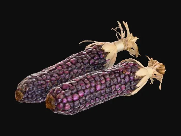 3D model for peruvian purple corn, #food#