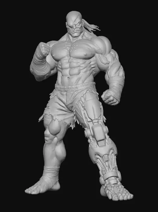 3D model for Warrior with a Cybernetic Leg