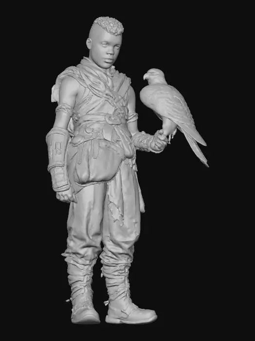 3D model for Falcon Whisperer