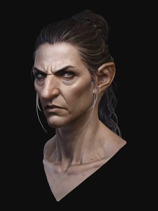 3D model for Weathered Gaze