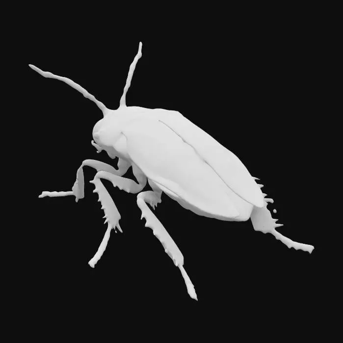 3D model for insect head, high detail 