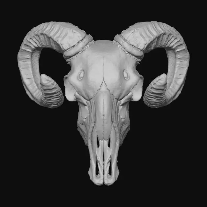 3D model for Ram's Legacy