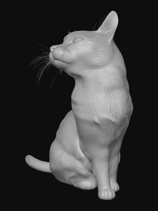 3D model for Midnight on the Mat