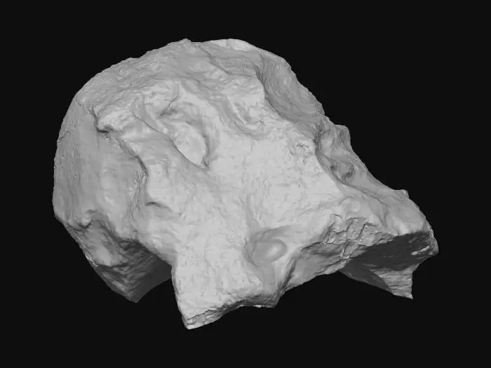 3D model for Meteorite Specimen