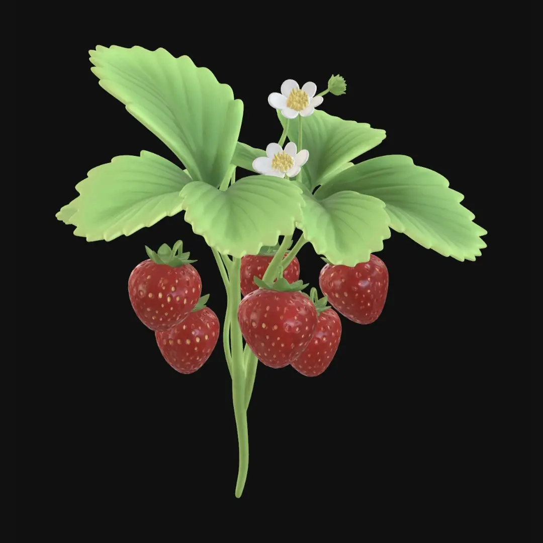 strawberry