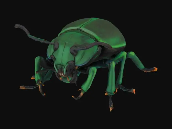 3D model for a beetle with large jaws