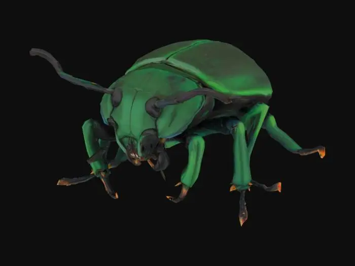 3D model for a beetle with large jaws