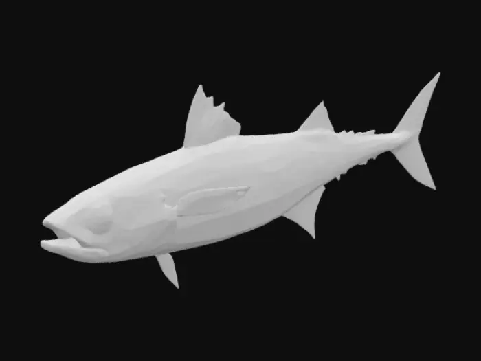 3D model for Mackerel Illustration