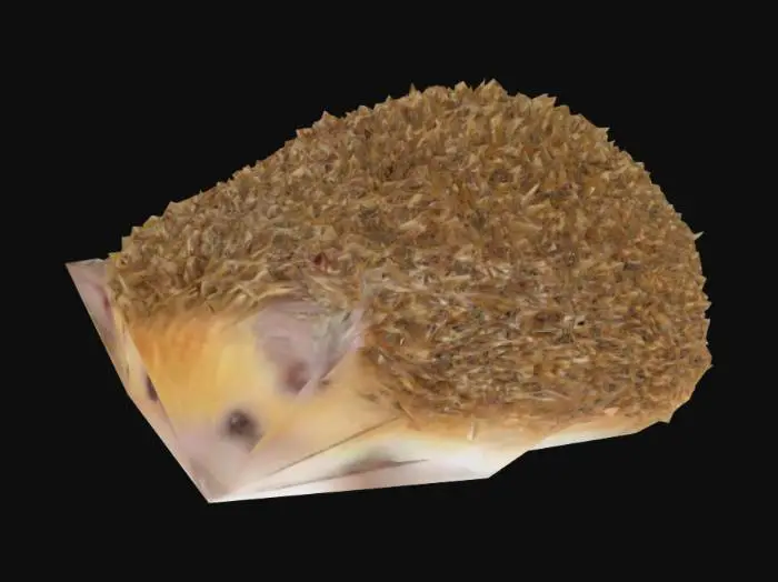 3D model for Hedgehog Haven