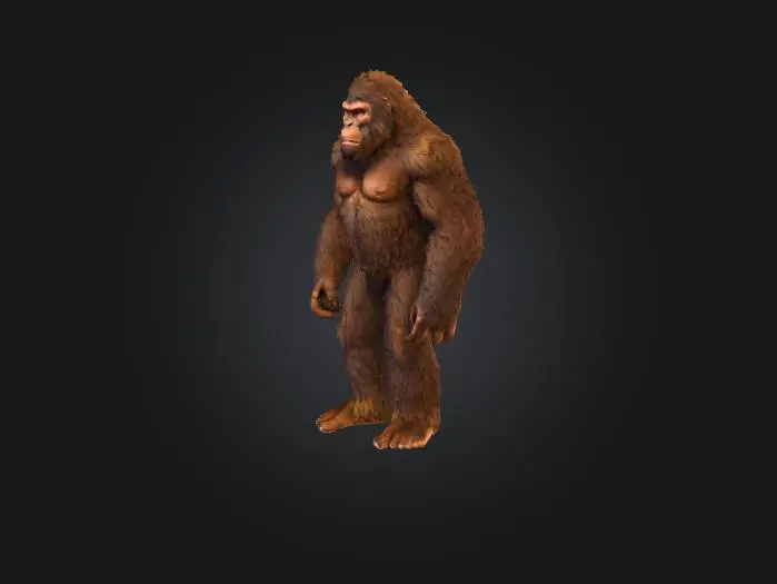 3D model for Bigfoot 