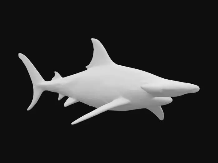 3D model for Gigantic prehistoric hammer head Shark realistic mesh and Texture . crisp sharp details . clean mesh no artifacts. unreal engine 5 quality . zbrush style mesh