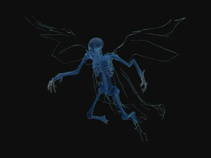 3D model for Spectral Apparition