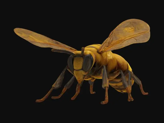 3D model for Golden Honeybee