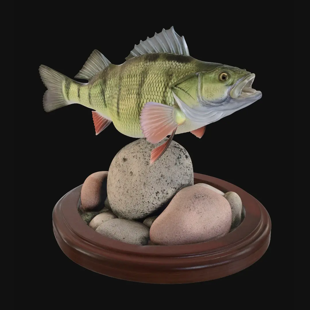 bass