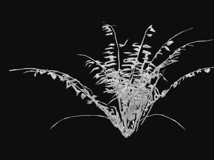 3D model for Jungle Fern with small flowers., Game Assets, Highly Detailed, Ultra Realistic, Organic