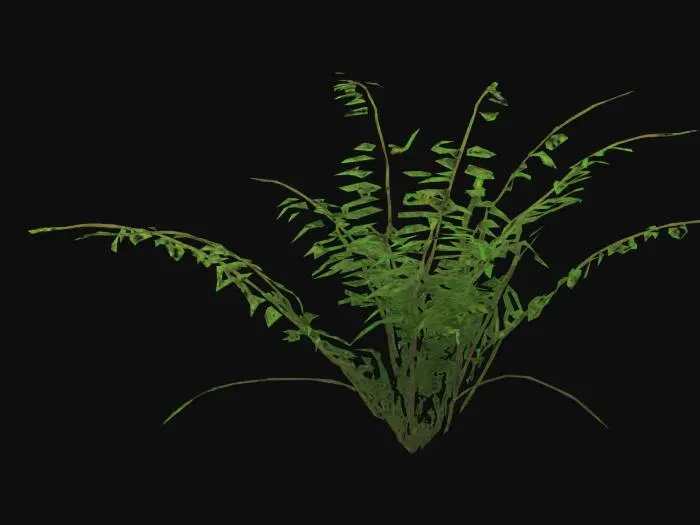 3D model for Jungle Fern with small flowers., Game Assets, Highly Detailed, Ultra Realistic, Organic