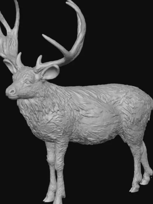 3D model for Mule Deer Majesty