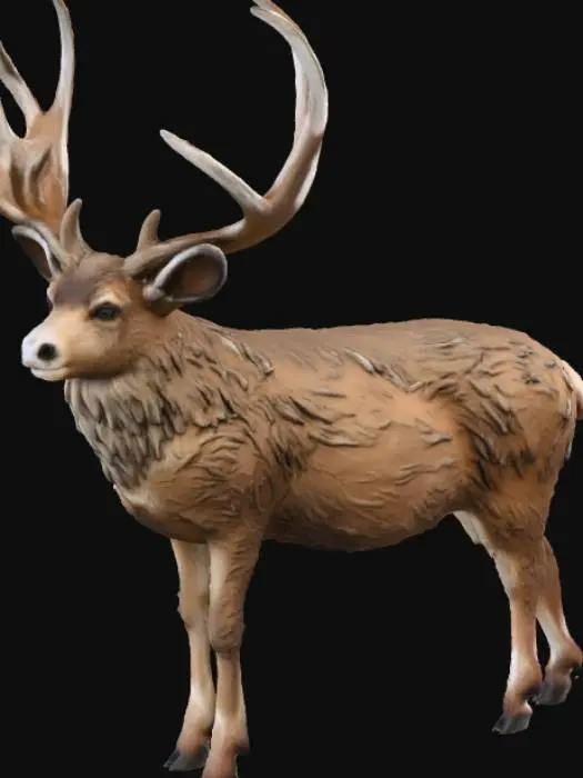 3D model for Mule Deer Majesty