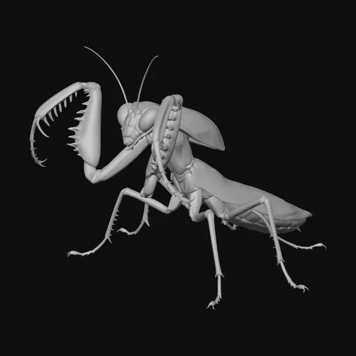 3D model for Green Mantis