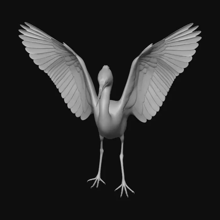 3D model for Graceful Wings