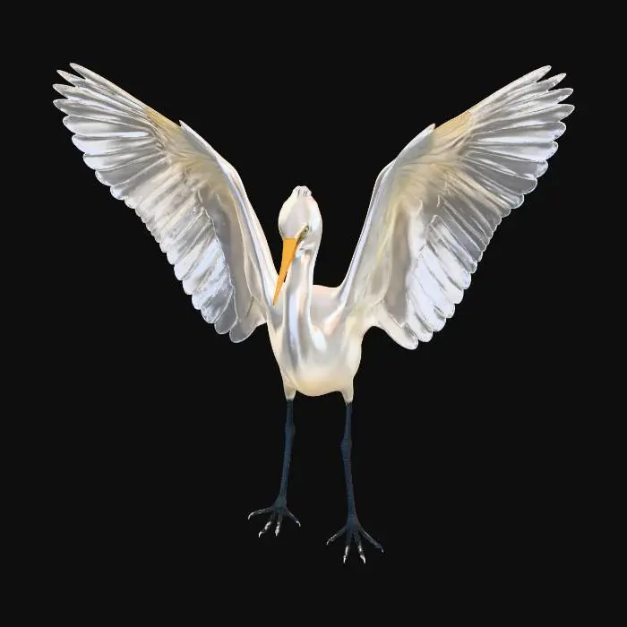 3D model for Graceful Wings