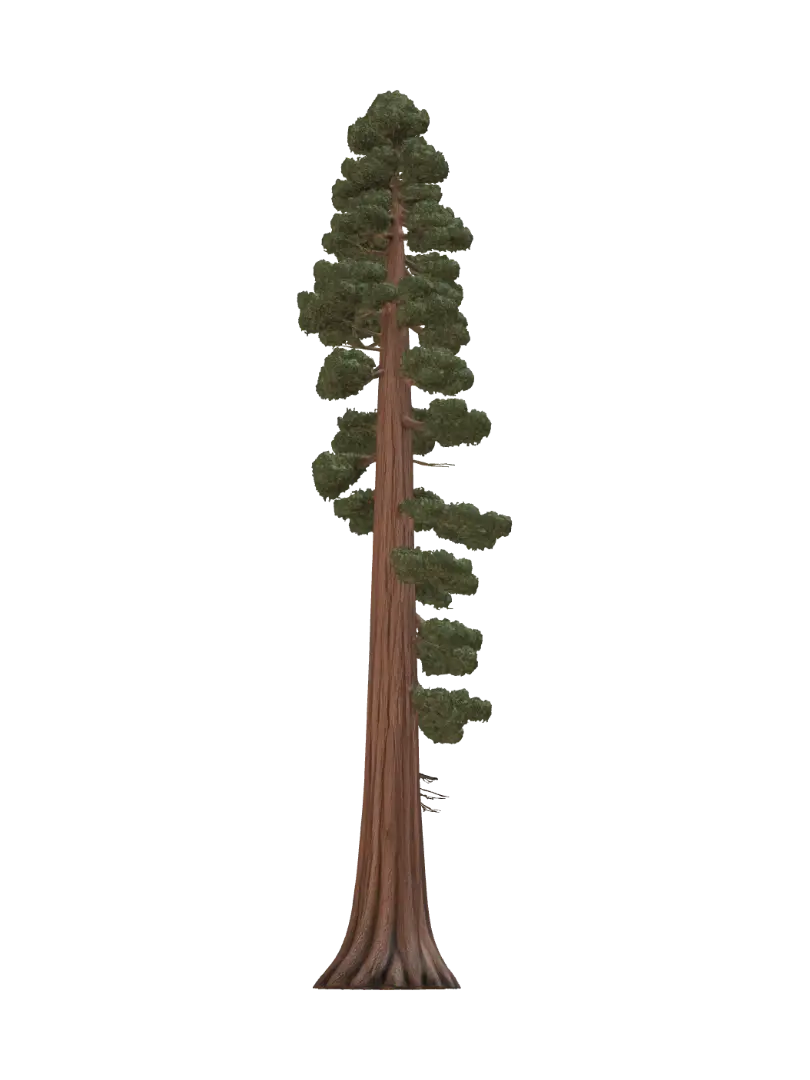 Lone Redwood - Bark 3D model, vytvořený pomocí AI