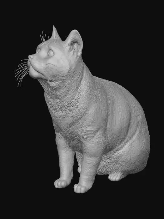 3D model for Curious Feline