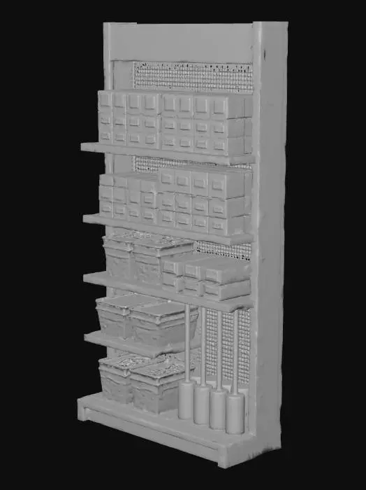 3D model for Organized Storage Shelf