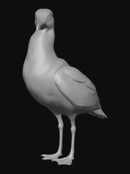 3D model for A realistic 3D model of a standing seagull with a pristine white body and light gray wings, featuring a detailed feathery texture. Its head is smooth, highlighting sharp red eyes and a bright yellow-orange beak with a subtle hook. The pinkish-red webbed feet are slender, indicating a delicate yet stable stance. Lighting emphasizes the smooth transitions between feather groups, casting minimal self-shadows on its clean form.