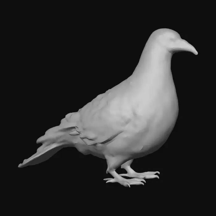 3D model for 현실감 있는 앉아있는 도시 비둘기,
언리얼 엔진 게임용에 최적화된 메쉬,
정돈된 토폴로지와 깔끔한 엣지 루프,
노멀맵 및 PBR 텍스처 베이킹에 적합,
실루엣이 명확하고 형태가 선명함,
배경 없음, 투명 배경, 환경 요소 없음,
폴리곤 면 갯수 50,000이하