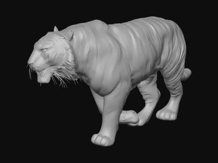 3D model for tiger