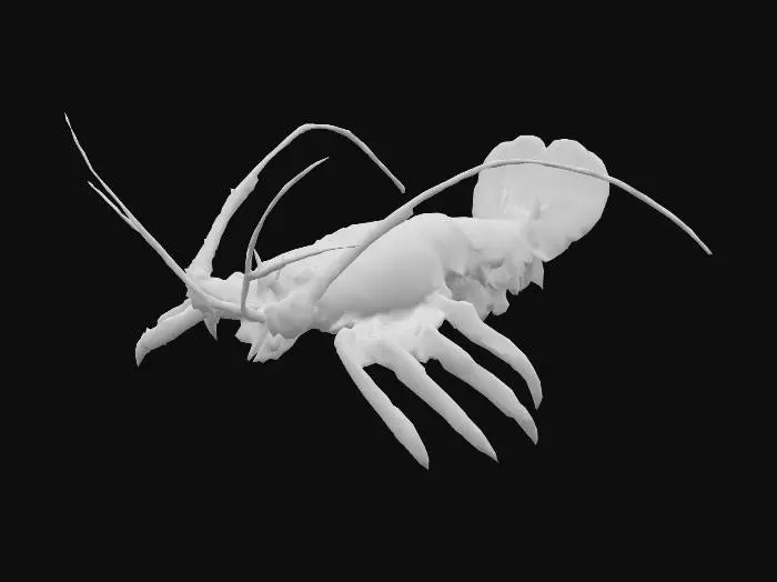 3D model for Painted Lobster