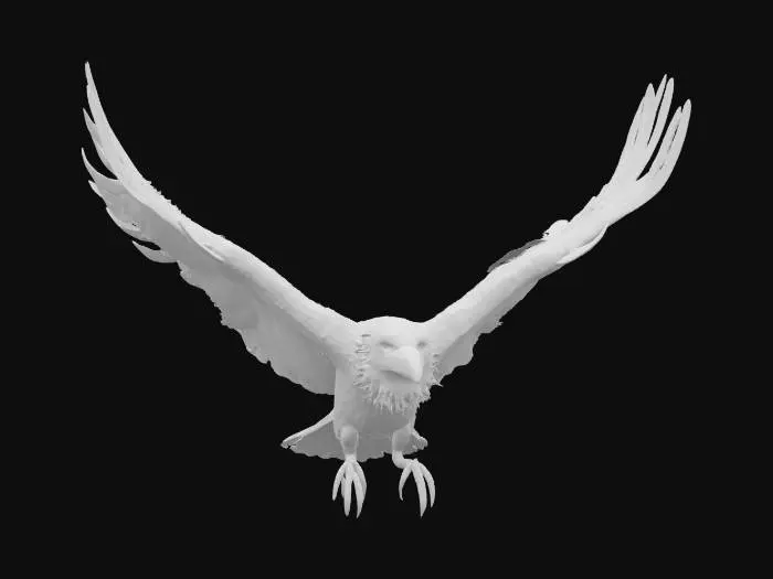 3D model for Flight of Midnight