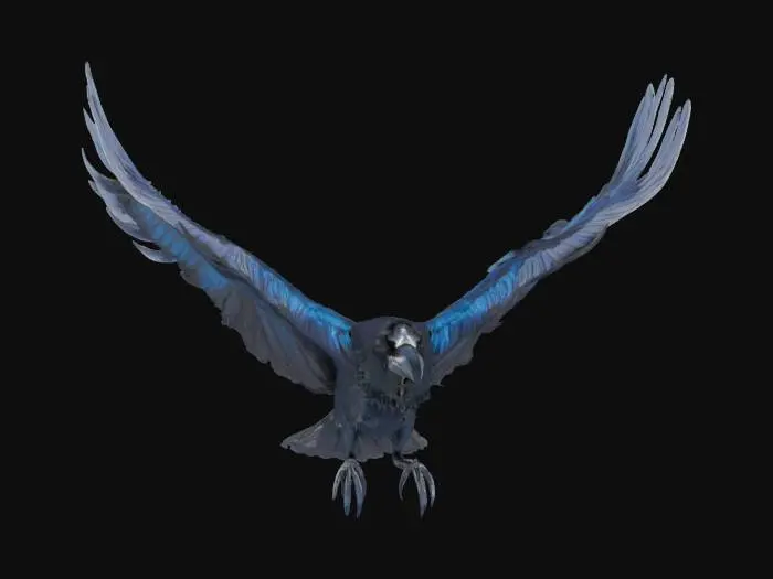 3D model for Flight of Midnight