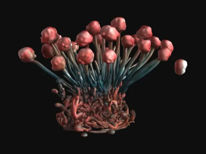 3D model for Botanical Fantasy