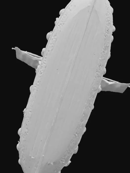 3D model for Gibt mir ein Wikinger Boot mit Schilden an der Seite für den 3d Drucker 