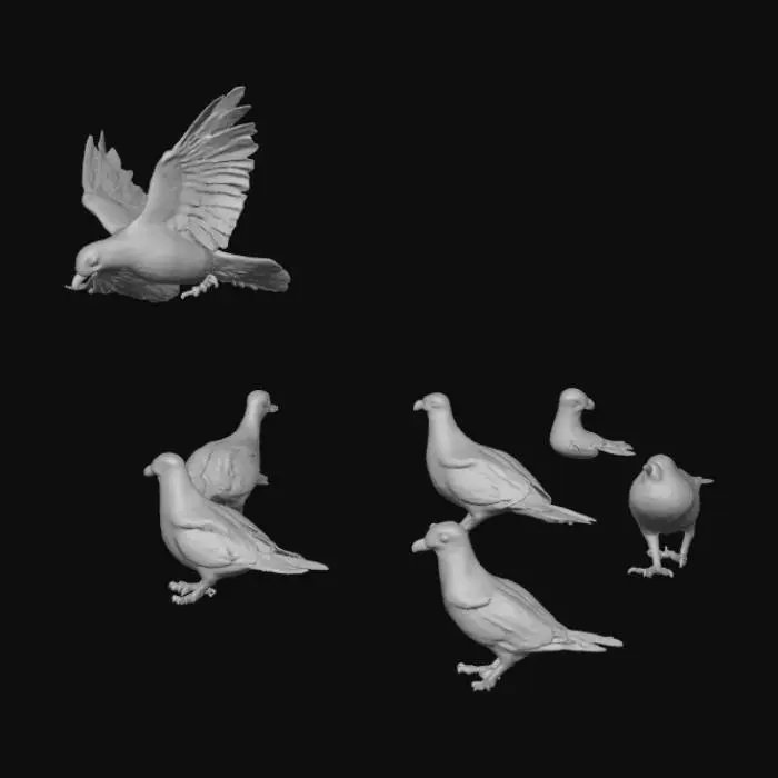 3D model for Small flock of pigeons on sidewalk, some flying, some pecking. Feathers gray/white. Separate animation-ready meshes.