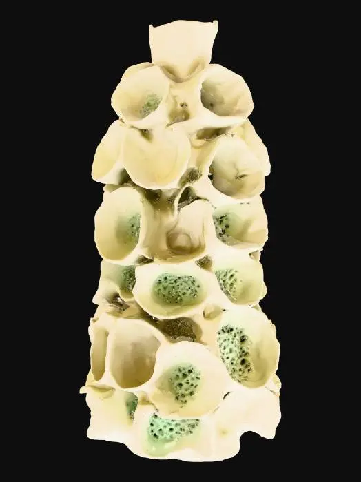 3D model for Organic Elegance