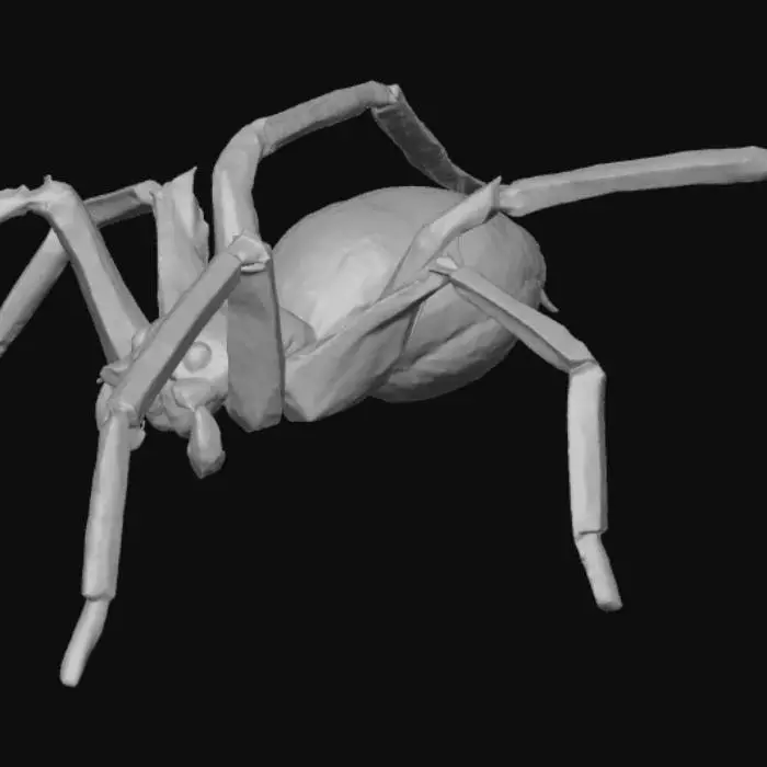 3D model for Arachnid in a Bottle