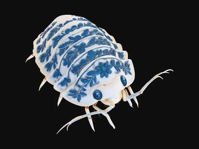 3D model for Porcelain Bug