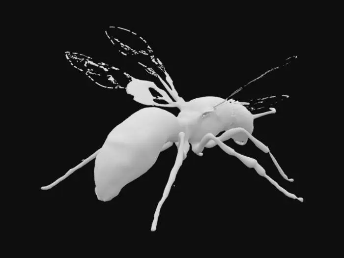 3D model for Cyber Wasp